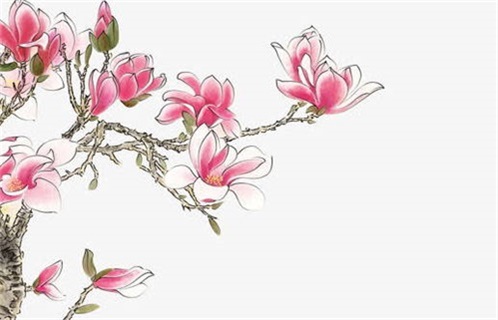 2027年11月19日出行黄历查询