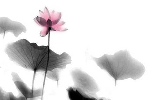 农历二〇二七年腊月十三黄历不适合外出吗,出行好日子查询