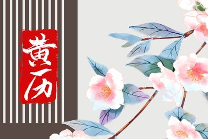 坤命西四命详解及其生活影响分析