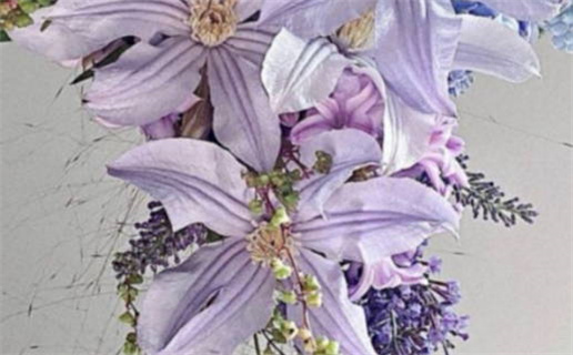 96年出生属什么命运分析与性格特点揭秘