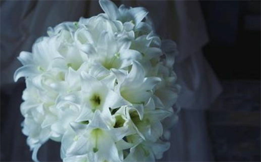 2010年属虎是什么命(2010属虎的命运一生怎么样)