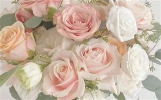 1984年生是什么命_1984年生是什么命?