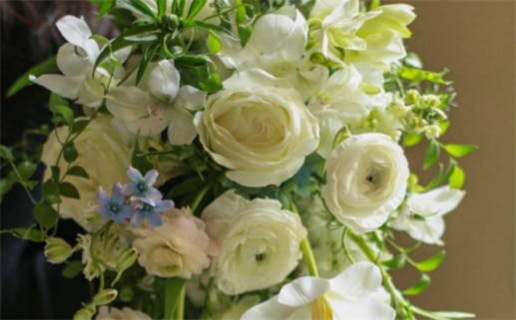 属大龙30岁是什么命(属大龙30岁是什么命运)