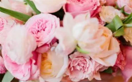 石榴木命五行缺什么揭示命理奥秘分析