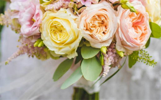 十二生肖鼠运势2022_十二生肖鼠运势2022年