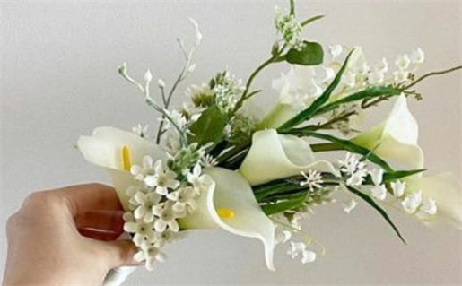 1993年属狗是什么命(1993年属狗是什么命五行属什么)