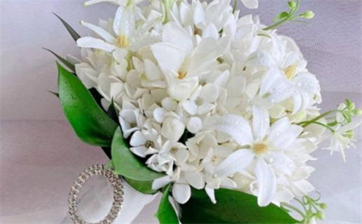 命里缺金取什么名字好_命里缺金取什么名字好 五行缺金取名推荐