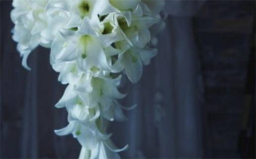 平衡育儿中的中庸智慧与生命价值探析