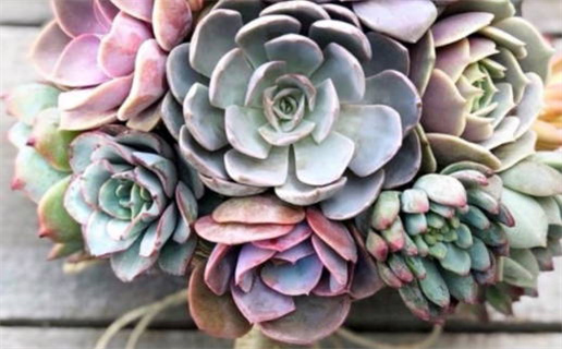 1996年2月29日什么命_1996年2月29日是什么命