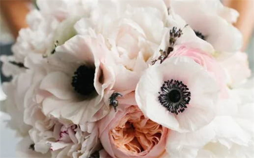 1995年猪是什么命_1995年猪是什么命 五行属什么