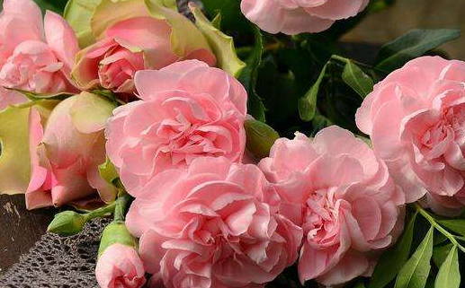 男孩起名指南选个吉利有意义的名字