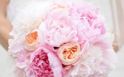 2000年龙的命运解析与运势指导