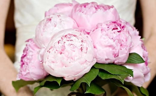 男人抬头纹多什么命(二十八种抬头纹图解)