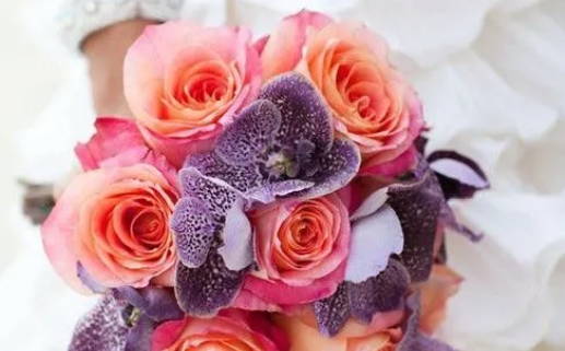 1990马年是什么命(1990马年是什么命年)