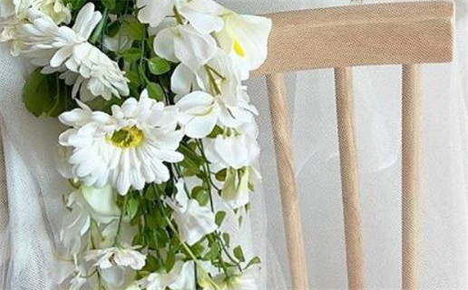 双鱼座月亮水瓶男生性格解析与情感特征