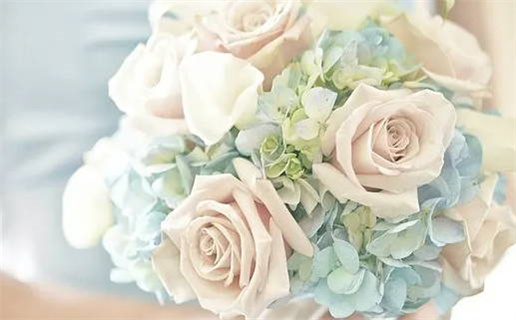 怎样查什么属性什么命(怎么查是什么属性的命)