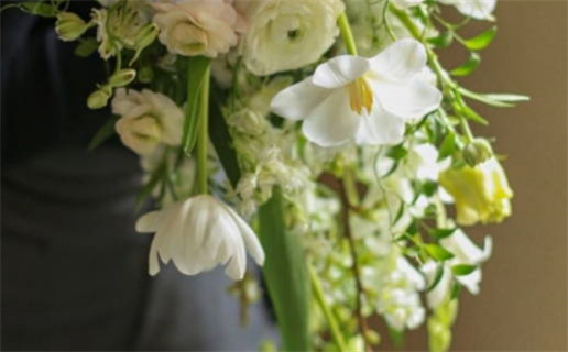 为什么说属羊的命不好(属羊有什么不好为什么说属羊的命不好)