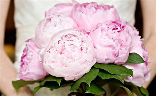 11月份开工黄道吉日_11月份开工黄道吉日2025年