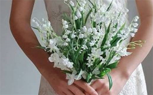 双子座女生是否比金牛座更聪明解析