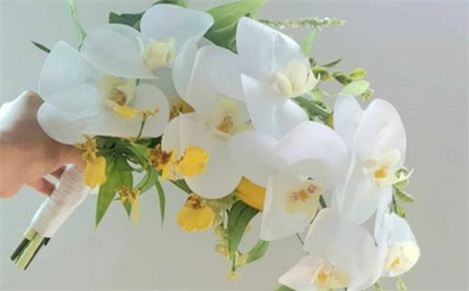 生肖鼠婚姻配对指南5月23日最佳配偶解析