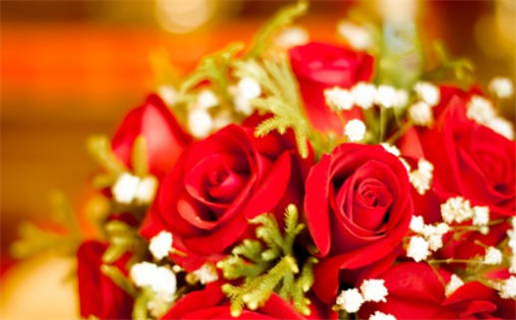 杨柳木命五行缺失解析与补救方法