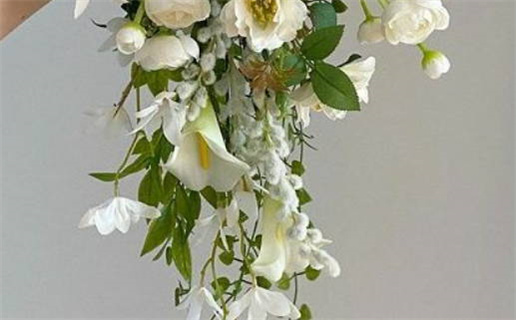 一九六七年属羊什么命(一九六七年属羊什么命多大了)