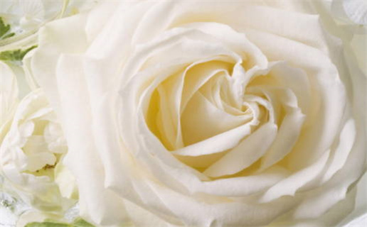 2011年出生什么命_2011出生什么命属什么