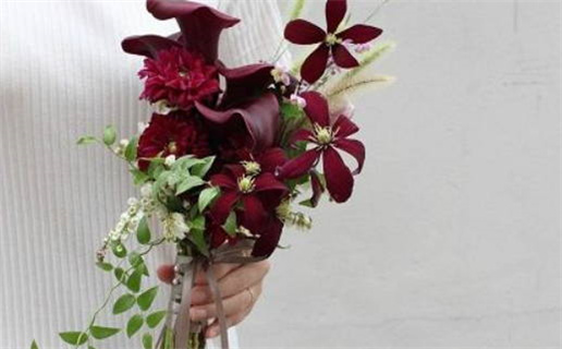 1999属兔的命运解析与性格特点分析