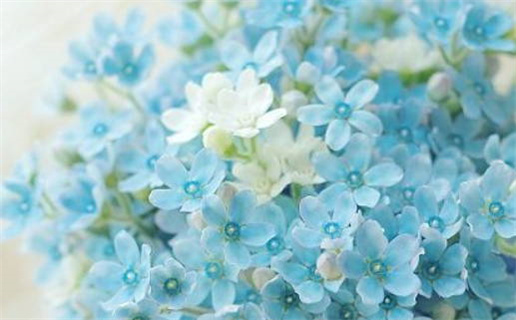 1995年出生猪的命运解析及性格特点