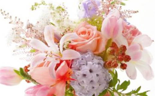 2000龙是什么命_2000龙是什么命 五行属什么