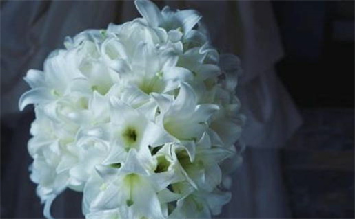 1991年出生的五行命理解析及运势分析