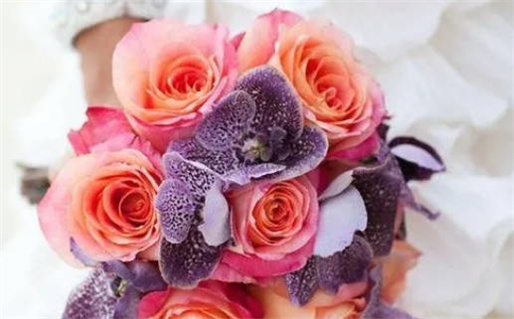 一运二命三风水是什么生肖_一运二命三风水是什么生肖呢