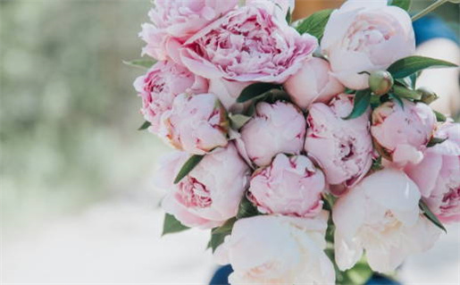 小孩起名网(小孩起名网免费)