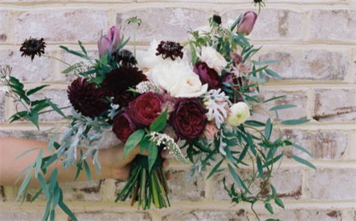 属鼠的人陪伴你吗_属鼠的人陪伴你吗女生