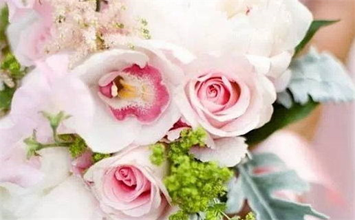 72年生肖鼠女长寿秘诀与命理解析