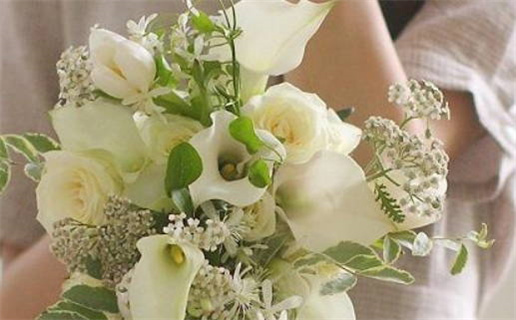 1988年什么命五行属性_1988年是土龙还是木龙