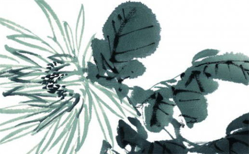 生肖鼠的流年运气_生肖鼠的流年运气如何