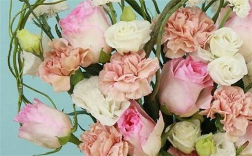 七月财运亨通的生肖鼠运势分析与提升秘诀