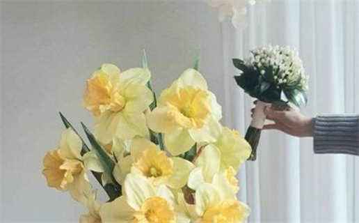 小拇指四节命运解析揭秘与运势影响