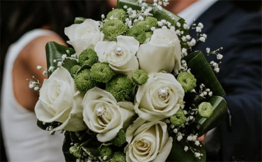 2012龙年是什么命_2012龙年是什么命年