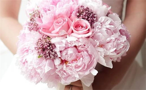 命中注定不能踏入寺庙的人生密码揭秘