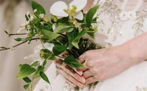 82年12月出生的命运解析及运势影响