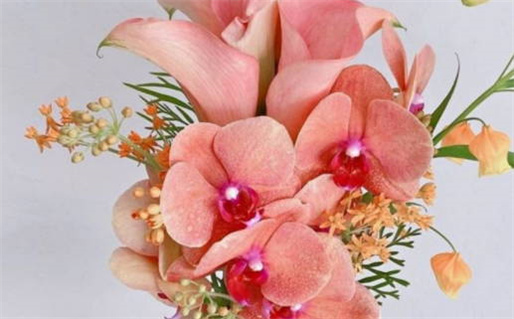 2000年是什么年什么命_2000年是什么年是属于什么命