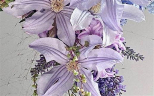 生肖鼠跟什么属相相克(生肖鼠跟什么属相相克相冲)