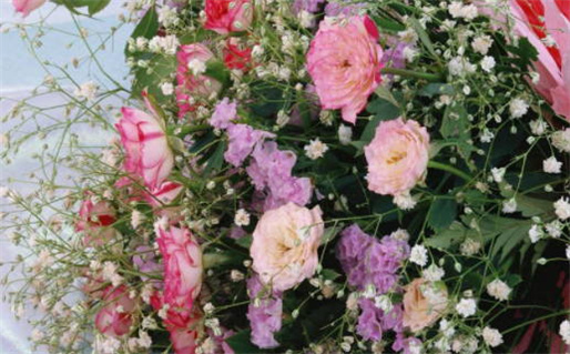 最好的英文名字(最好的英文名字男孩)