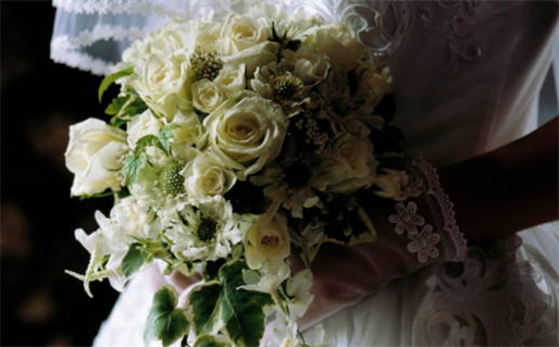 松柏木命是什么意思(蟾窟之兔松柏木命是什么意思)