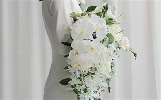 2005年属鸡命理分析与性格特点解析