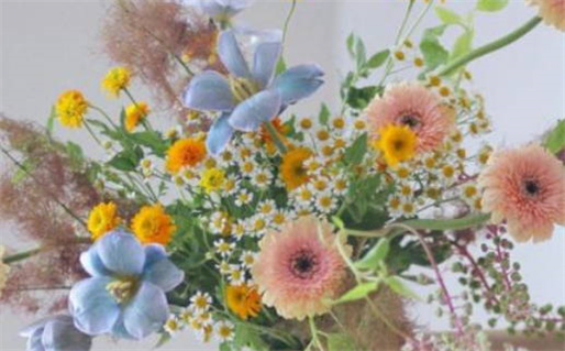 属猪七月出生是什么命(属猪七月出生是什么命运)