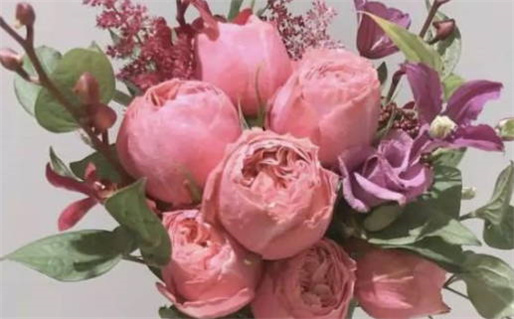 火命不适合干什么行业_火命不适合做什么行业的工作?