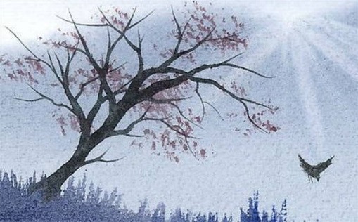 76年属龙女是什么命(76年属龙女是什么命女性)